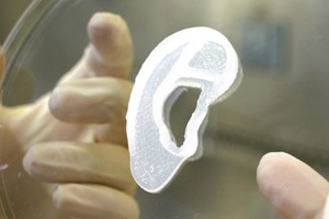 Créditos: Gentileza