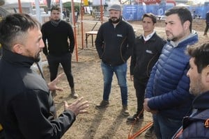 Créditos: Gentileza