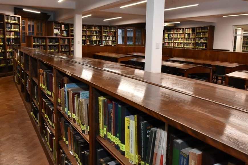 Créditos: Gentileza