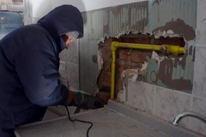 Créditos: Gentileza