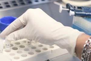 Créditos: Gentileza