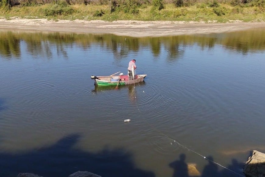 Créditos: Gentileza