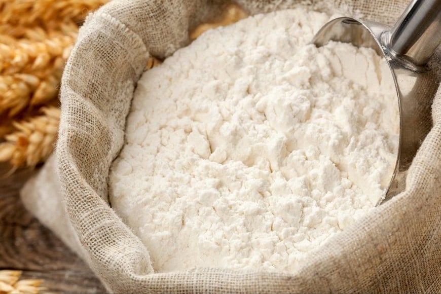 Argentina cuenta con una medición integral inédita de la capacidad productiva real de los molinos de trigo