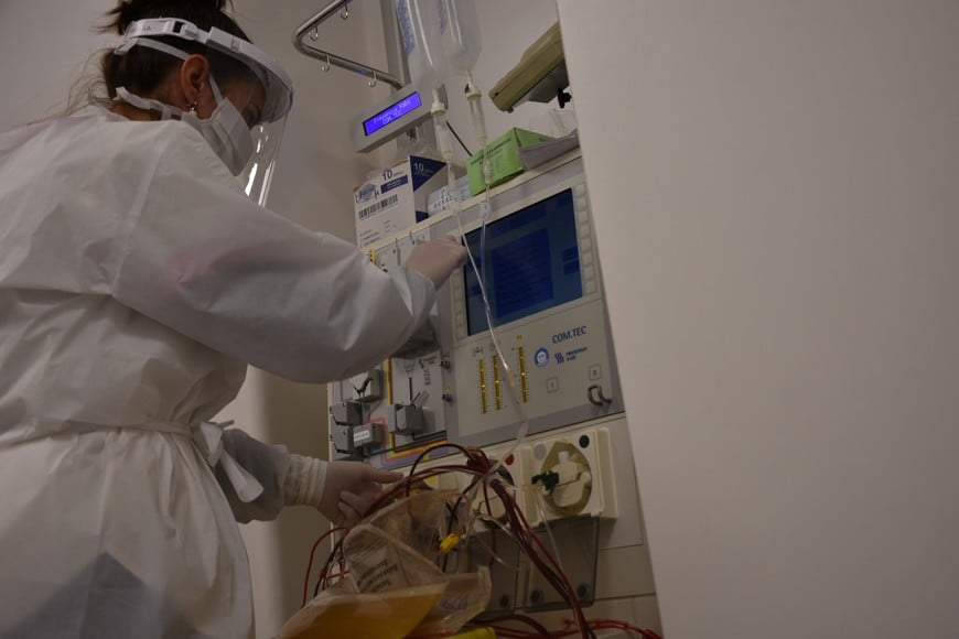 El plasma de convalecientes, es decir, de quienes tuvieron la enfermedad, es la única alternativa para tratar a personas con FHA. Piden más donantes. Crédito: Flavio Raina