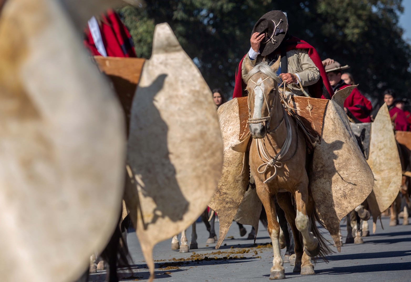 Más de siete mil gauchos de distintas localidades del país desfilaron ayer viernes en la ciudad de Salta a 201 años del fallecimiento del general Martín Miguel de Güemes.