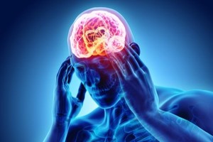 Los cambios neurológicos afectan a todo el organismo, incluidos los sistemas autónomo, metabólico e inmunológico.