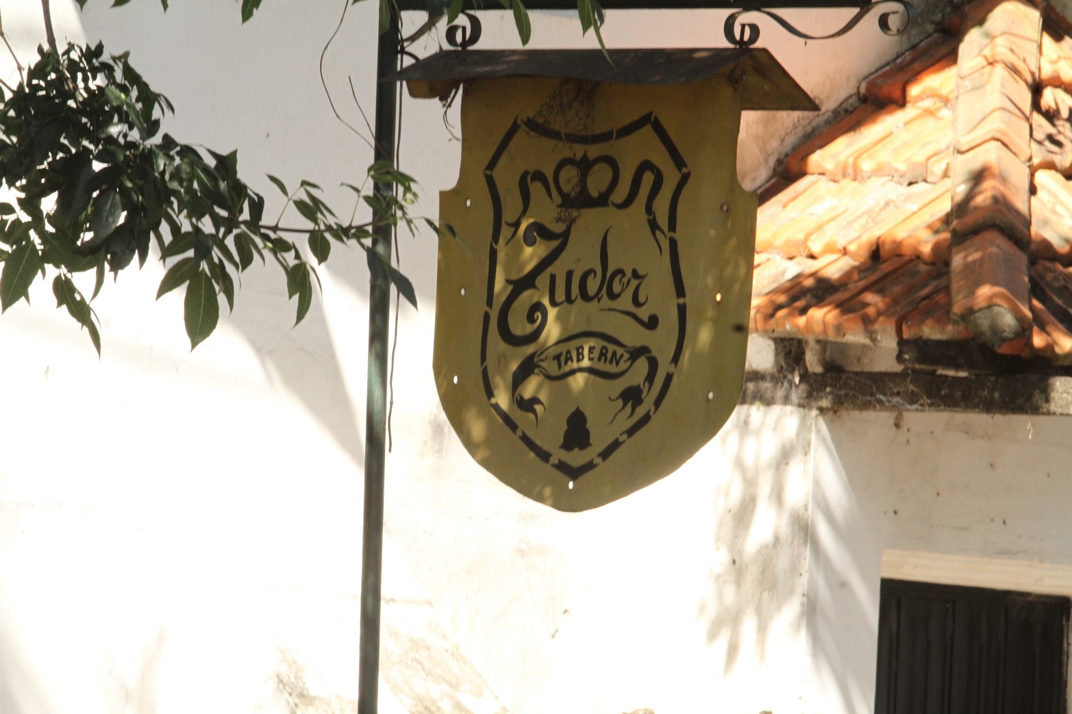 Mes de la diversidad. Una noche en Tudor, el refugio de personas trans y gays santafesinas de los '90. Guillermo Di Salvatore