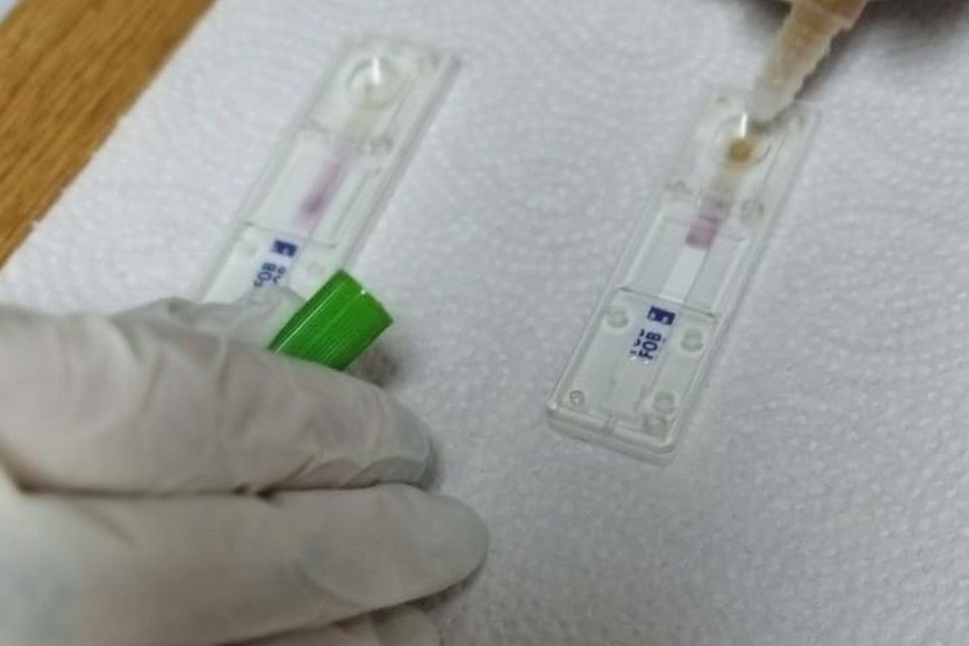 En marzo, al conmemorarse el Día mundial de lucha contra el cáncer de colon, se distribuyeron kits de detección temprana en la provincia. Crédito: Archivo El Litoral