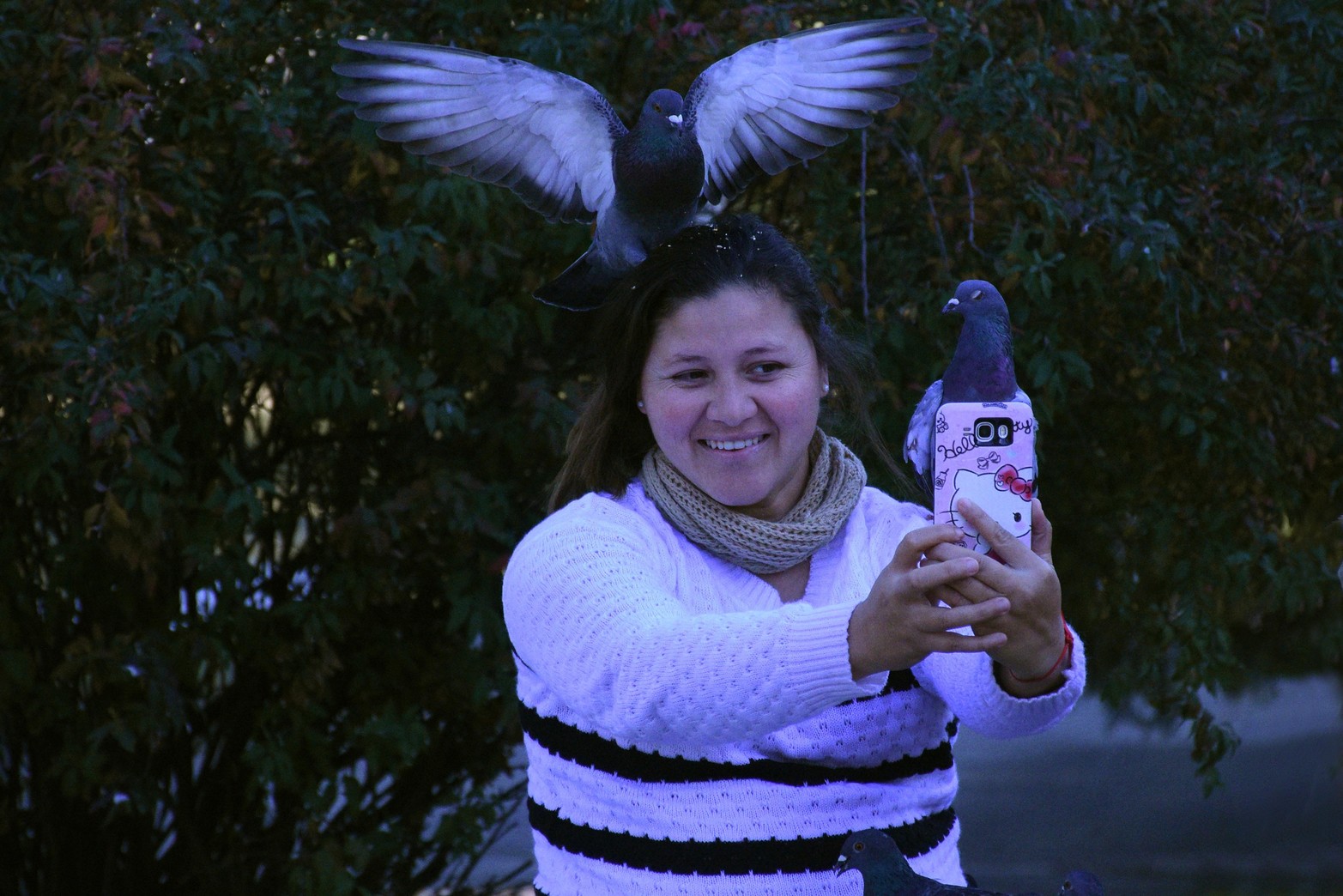 Método inédito en Santa Fe. En el Palomar sustituyen huevos fértiles por otros de yeso para controlar la población de aves. Lo aplican ciudades como Madrid o Barcelona para evitar la sobrepoblación. Desde el municipio sostienen que consiguieron un 90% de efectividad.