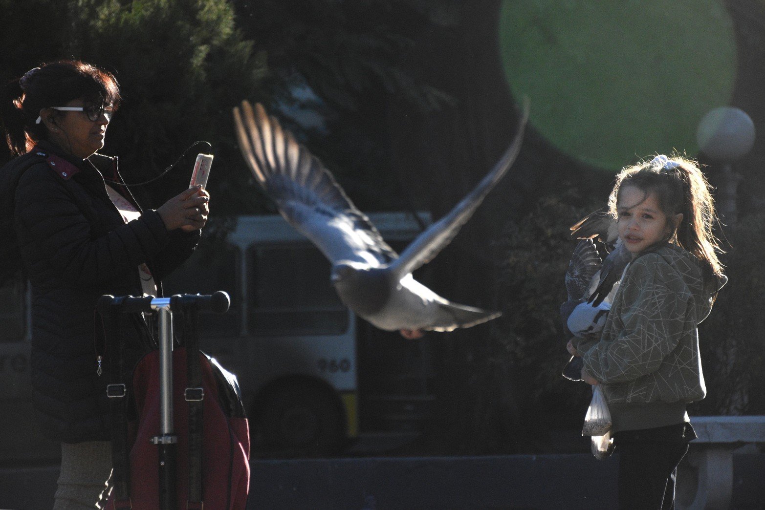 Método inédito en Santa Fe. En el Palomar sustituyen huevos fértiles por otros de yeso para controlar la población de aves. Lo aplican ciudades como Madrid o Barcelona para evitar la sobrepoblación. Desde el municipio sostienen que consiguieron un 90% de efectividad.