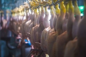El consumo de proteína aviar superará a la vacuna. / Gentileza
