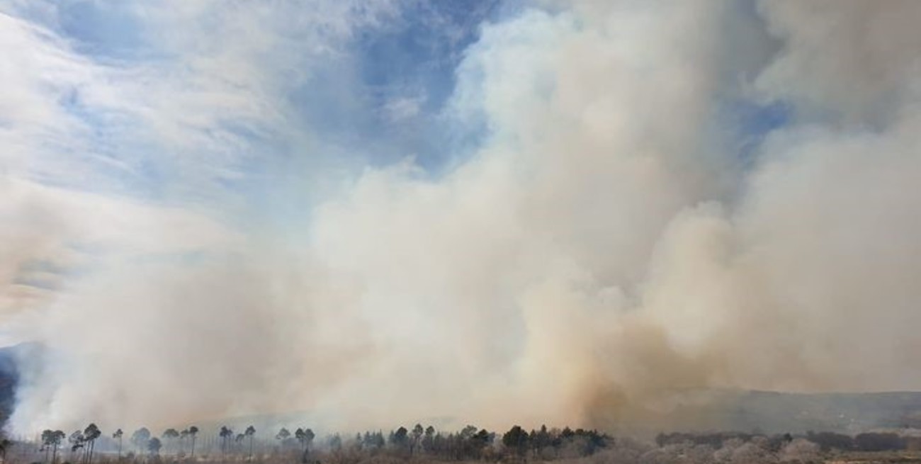 Un importante incendio forestal afectó al menos 30 hectáreas en las Sierras de Córdoba 