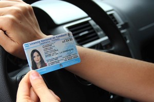 Documento único que cada jurisdicción otorga para habilitar legalmente a conducir a una persona
