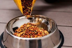 La advertencia fue lanzada por la  Cámara Argentina de Empresas de Nutrición Animal