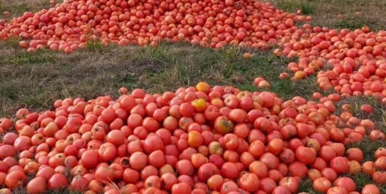 Tomatazo en Corrientes: los productores protestaron por los costos de producción