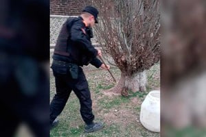 La serpiente apareció en la zona de escaleras del paseo lindero a la playa.