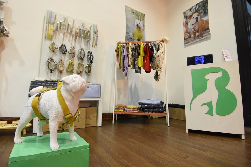 Crédito: Manuel Fabatía