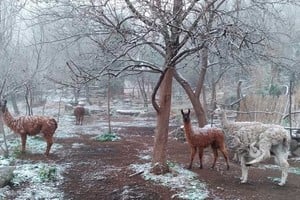 Postal de un camping a los pies del Cerro Champaquí
