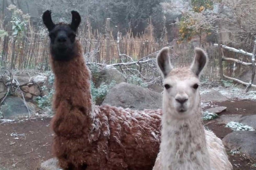 Postal de un camping a los pies del Cerro Champaquí