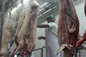 La principal fuente de transmisión son los productos y subproductos de carne de cerdo.