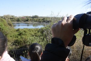 Binoculares. Los visitantes observan el paisaje de la Reserva. Una experiencia ideal para tomar contacto con la naturaleza.