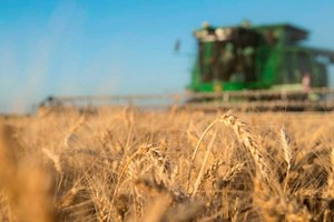 Entidades agragarias salieron a responder los dichos del presidente sobre la liquidación de cosecha y la falta de dólares.