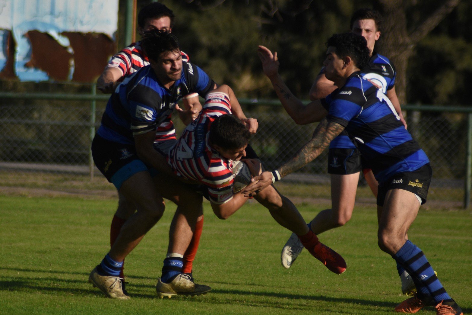 Santa Fe Rugby ganó con comodidad su compromiso. 45 a 7 a Universitario de Rosario.