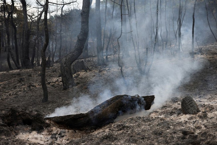Crédito: Alexandros Avramidis / Reuters
