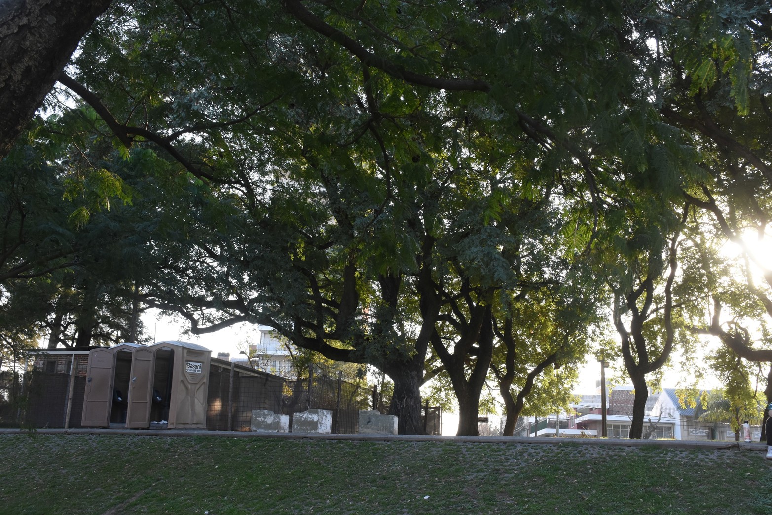 El sector está rodeado de espacio verde.