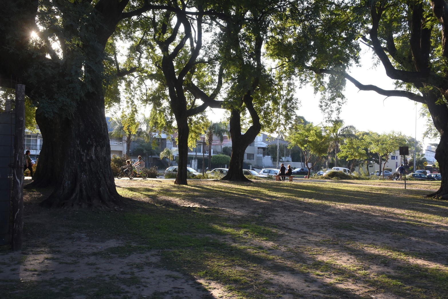 Frondosos árboles le dan una particular vida.