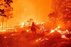 Incendio en California: los bomberos combaten llamas de hasta 30 metros de altura
