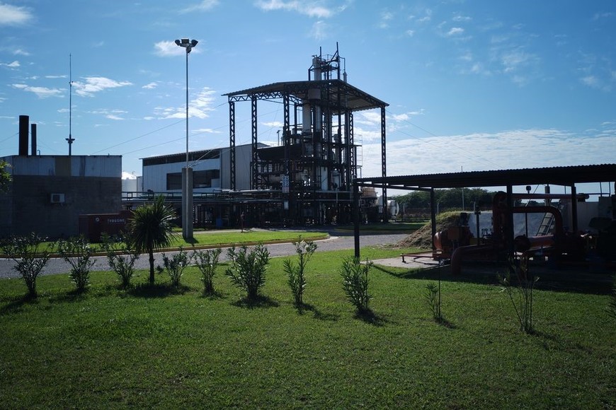 Biodiesel: las virtudes de este proceso tienen efectos no solo en la atención de la demanda de combustibles, sino también en la necesidad de divisas que tiene el país para afrontar los compromisos de la deuda externa. / Gentileza