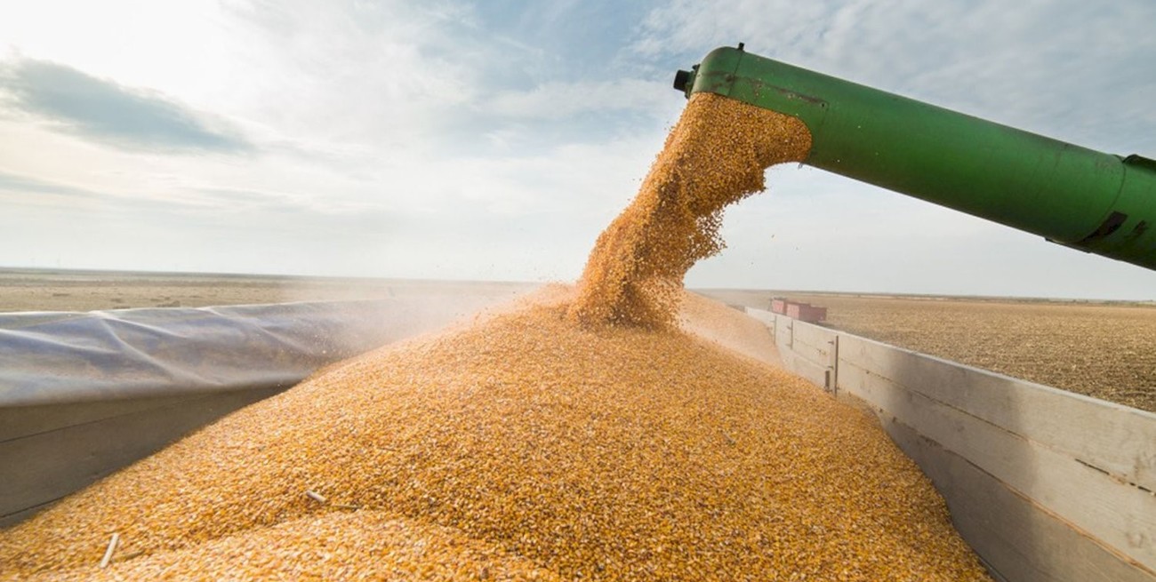 Agroexportadores liquidaron en siete meses US$ 22.309 millones