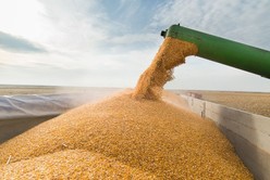 Agroexportadores liquidaron en siete meses US$ 22.309 millones