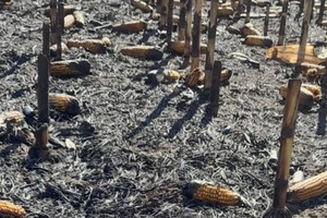 Cristian Crespi sostiene que el incendio fue intencional.