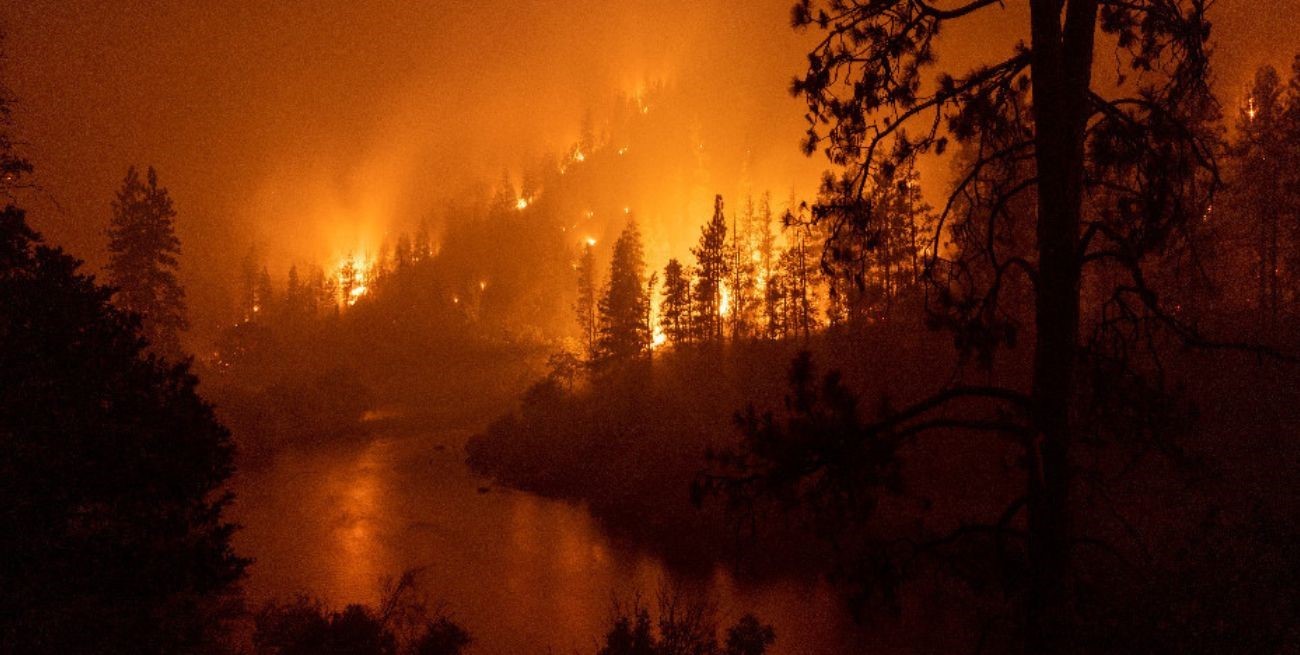 Cientos de bomberos luchan contra un incendio forestal en el norte de California
