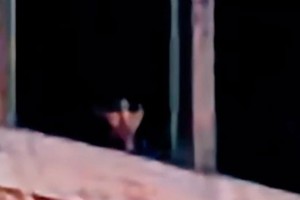 La impactante foto de un fantasma en el ex Hospital Psiquiátrico en Santa María de Punilla. 