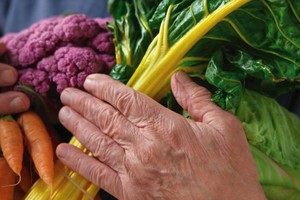 El taller está orientado a personas mayores de 60 años.