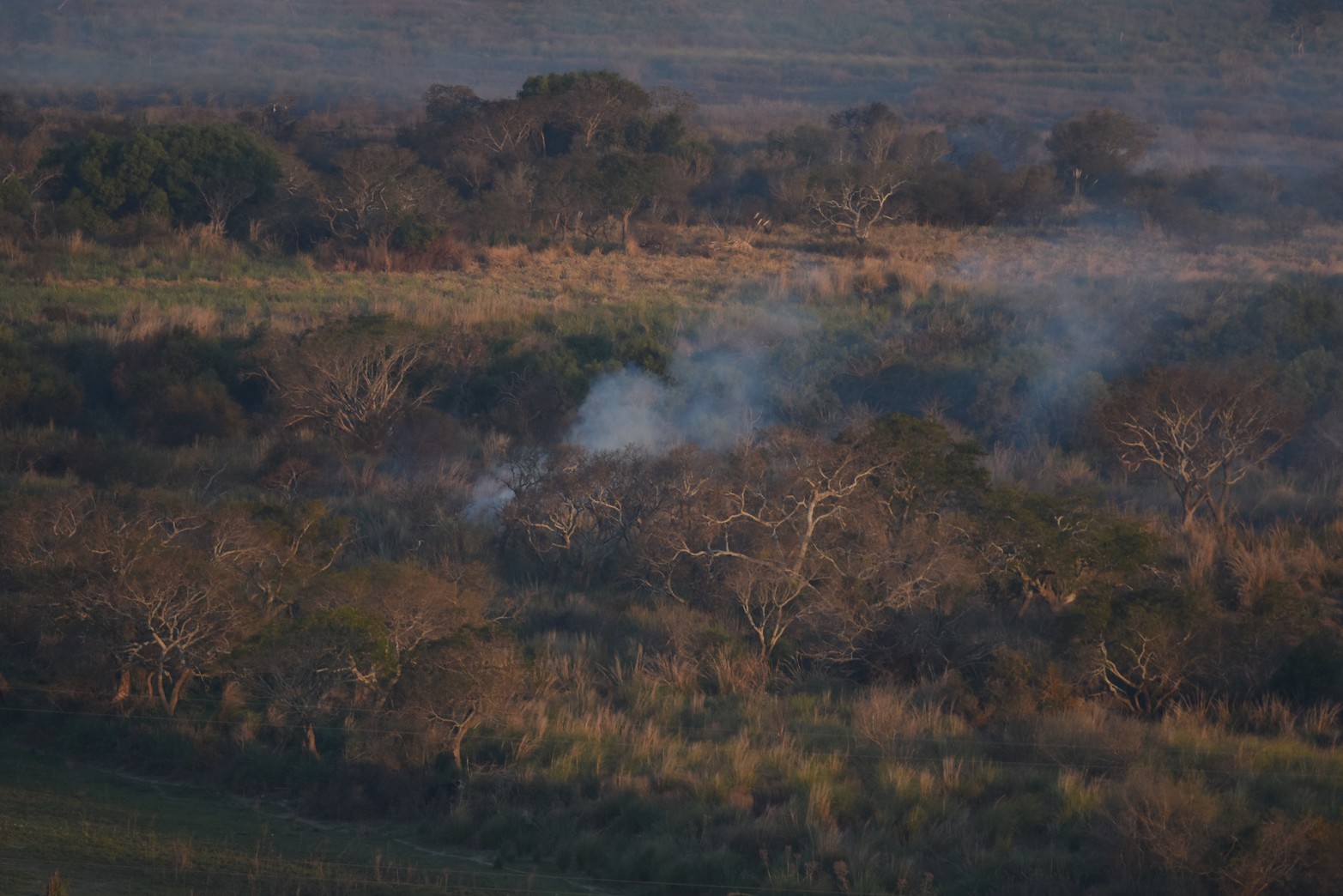 Quema de pastizales, que generó el humo sobre la ciudad