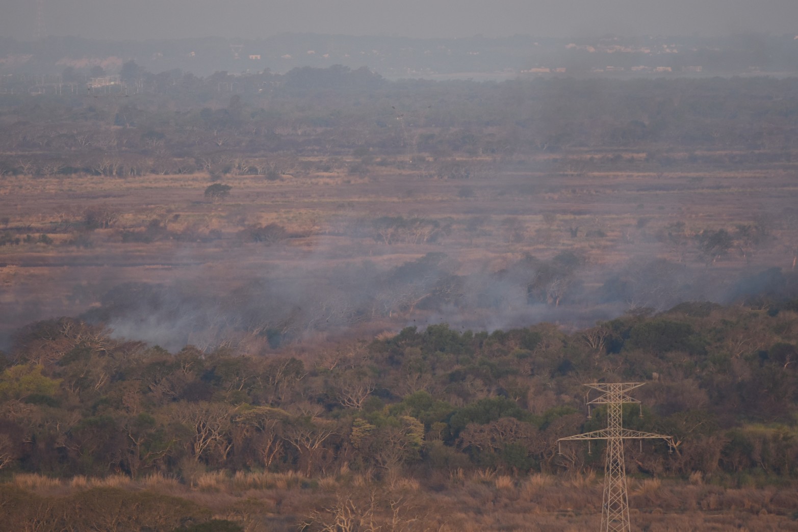Al Este, zona de bañados, desde el Amarras