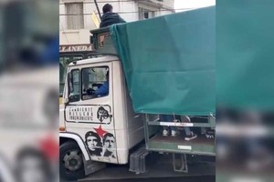 video camion