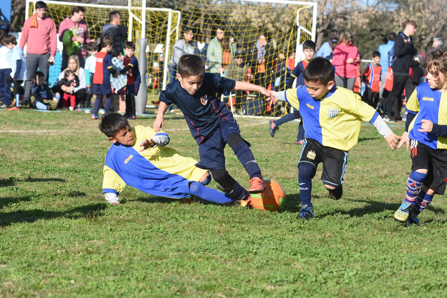 CLUB ATLETICO STOCKOLMO DE BABY FUTBOL: Fotogaleria de las categorias