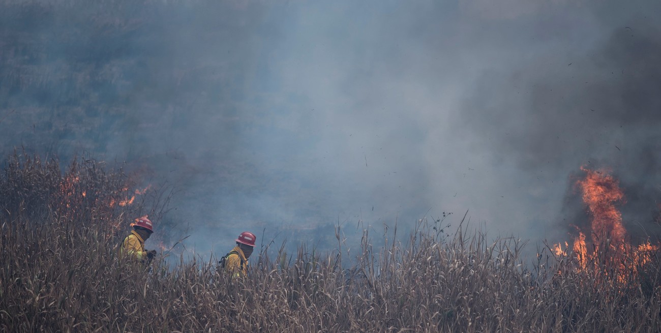 Incendios en las islas del Delta del Río Paraná: Perotti solicitó la intervención de las Fuerzas Armadas