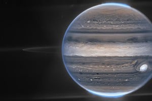 Así luce Júpiter en los "ojos" del James Webb. Crédito: NASA