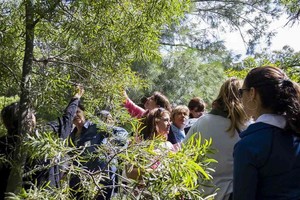 El Aula Viva combina diálogos reflexivos con prácticas educativas y transformadoras, para compartir prácticas que van en sintonía con el cuidado del ambiente y la naturaleza.
Foto: Municipalidad de Rosario