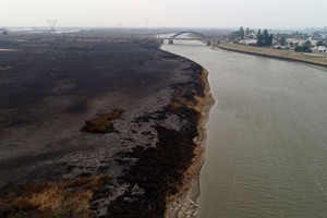 Daniela Qüesta solicitó una reunión a la ministra de Ambiente y Cambio Climático de la provincia, Erika Gonnet.
