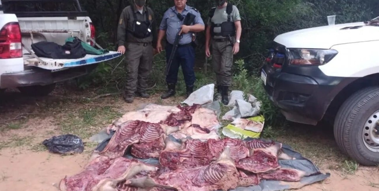 Corrientes: secuestraron 780 kilos de carne de carpinchos faenados