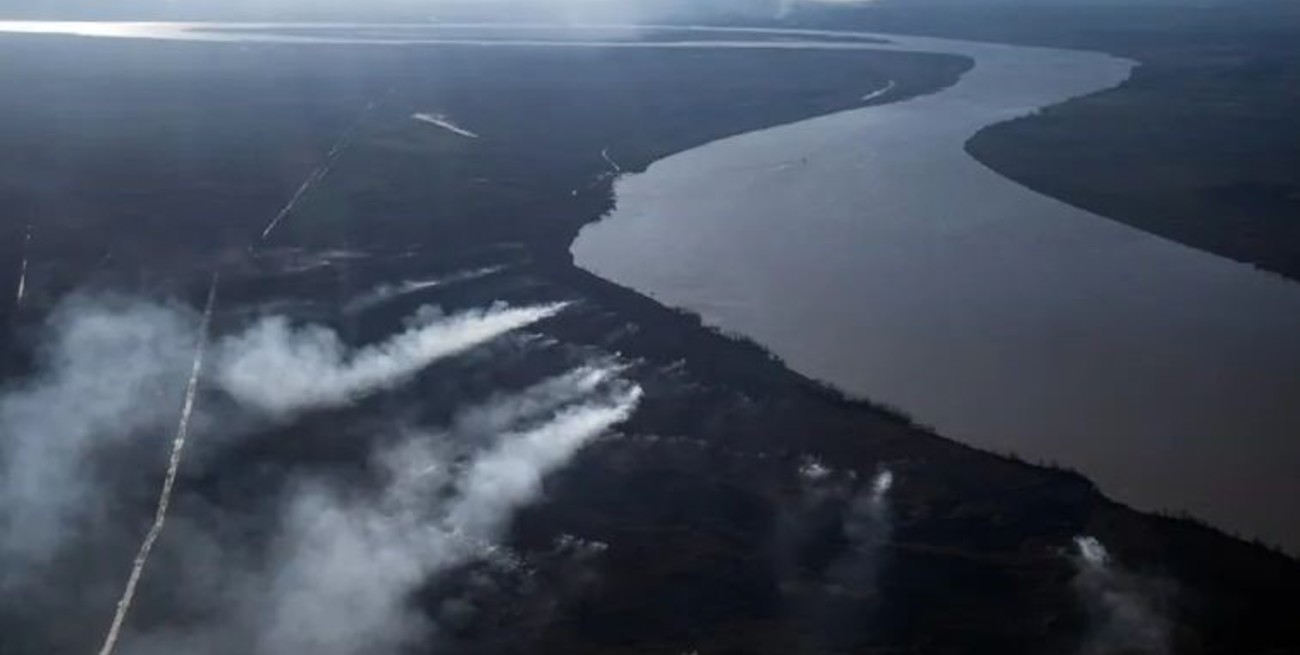 Cayó un avión que combatía las quemas en el delta del Paraná