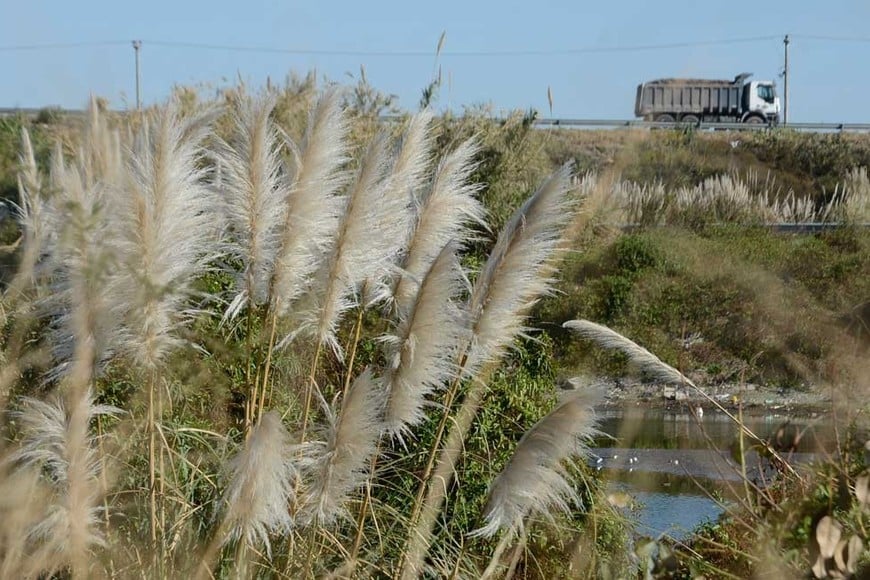 Reserva Natural del Oeste. Crédito: Luis Cetraro