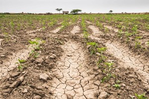 El 2022, si bien comenzó con buena cantidad de precipitaciones, se convirtió rápidamente en un año que quedará en la historia por la preocupante sequía reinante.